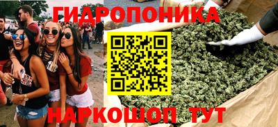 амф Лесосибирск