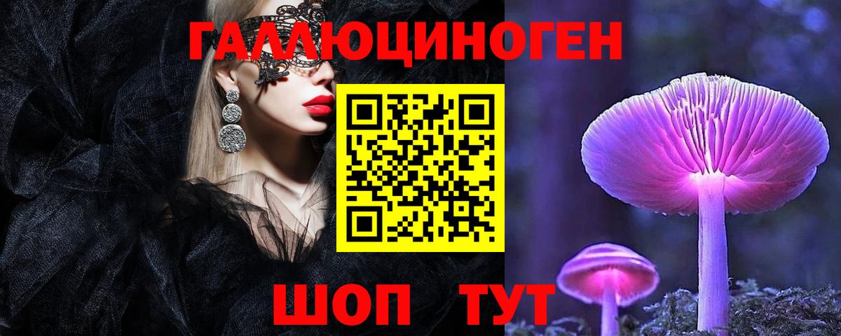 дарнет шоп  Псилоцибиновые грибы прущие грибы  Вход с VPN  Ейск 